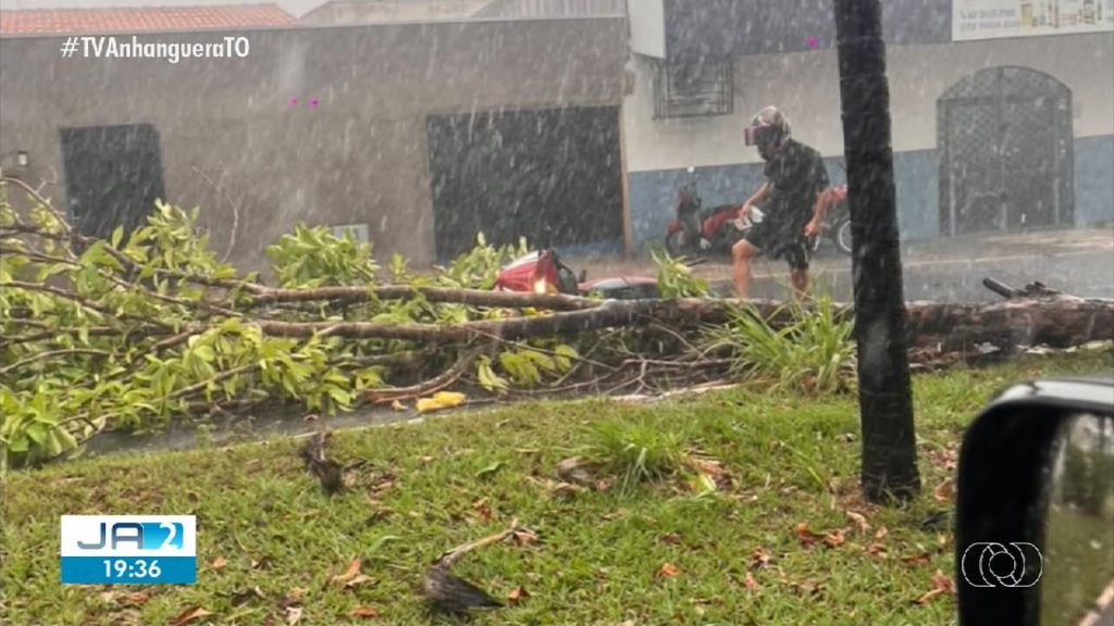 Chuva com ventos fortes derruba árvores e provoca estragos em Araguaína; Vídeo